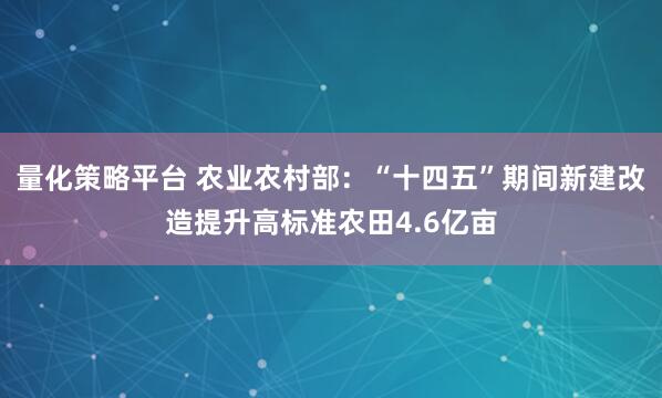 量化策略平台 农业农村部：“十四五”期间新建改造提升高标准农田4.6亿亩