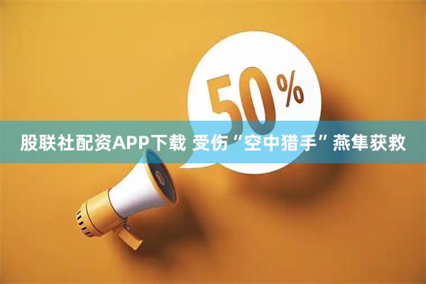 股联社配资APP下载 受伤“空中猎手”燕隼获救